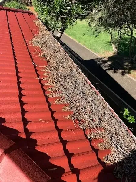 Red tile roof with a gutter overflowing with dried leaves and debris — Gutter Guard In Lake Cathie, NSW
