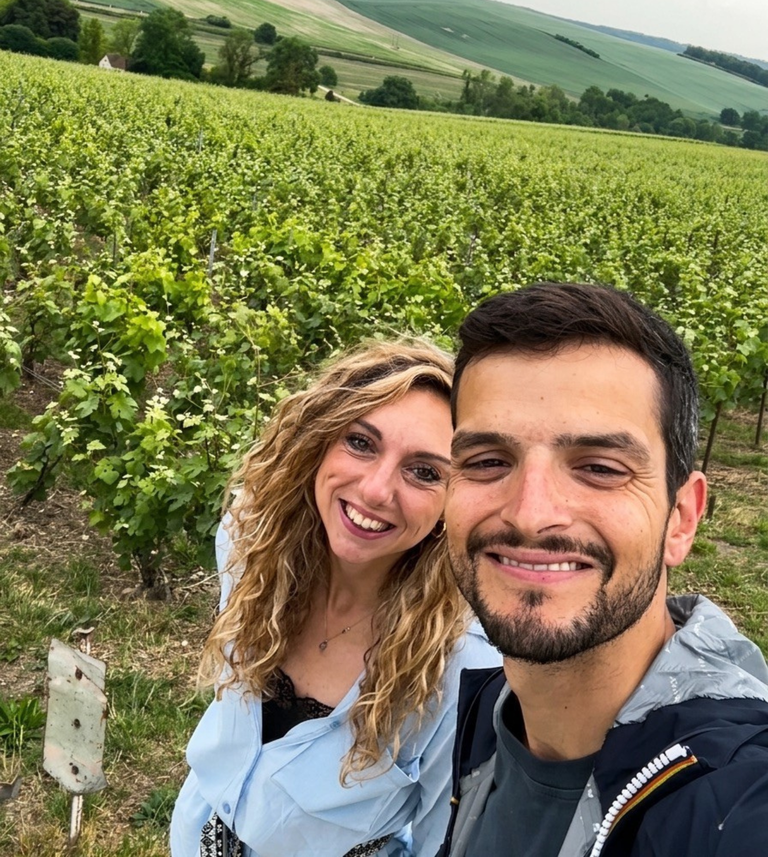 Piatti a base vegetale abbinati a calici di vino, con ingredienti naturali e radici orticole protago