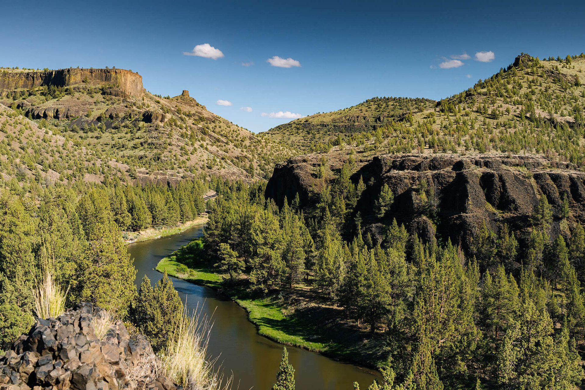 Prineville Oregon tree service