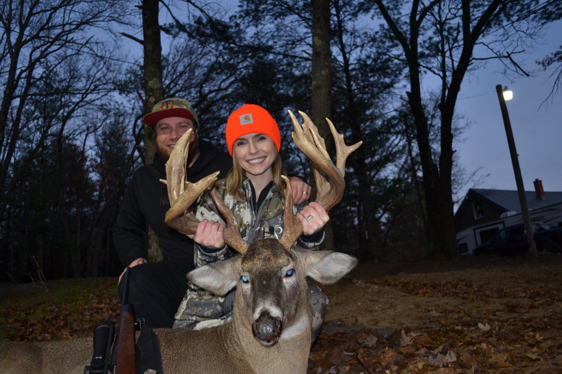 Northern Michigan Whitetail Deer