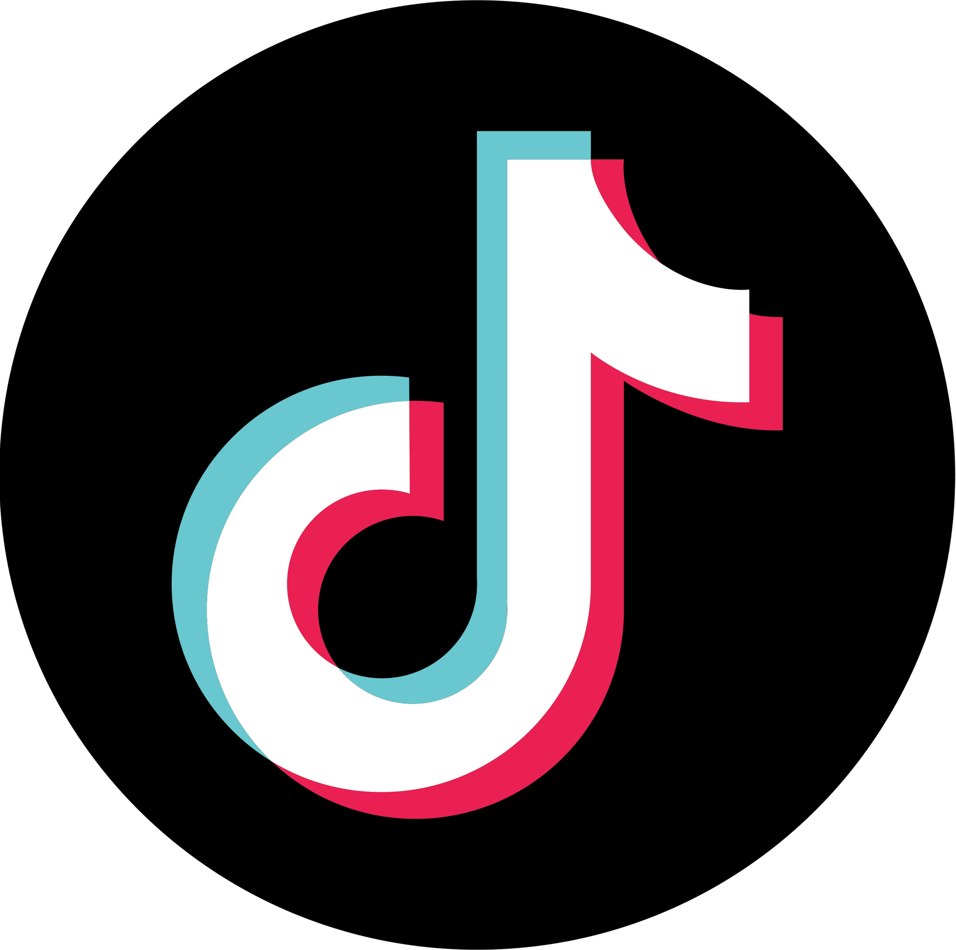 The tiktok logo is in a circle on a black background.