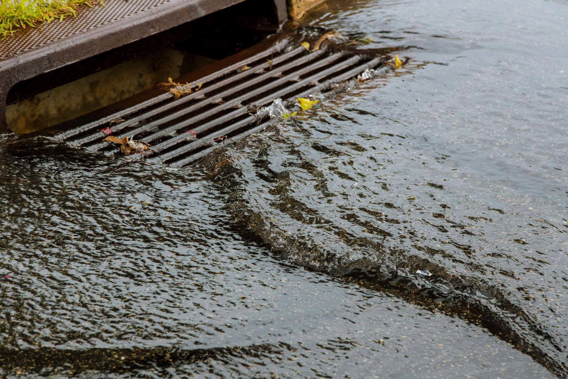 Water Gushing from Sewer — Culpeper, VA — Clear Horizons Soil