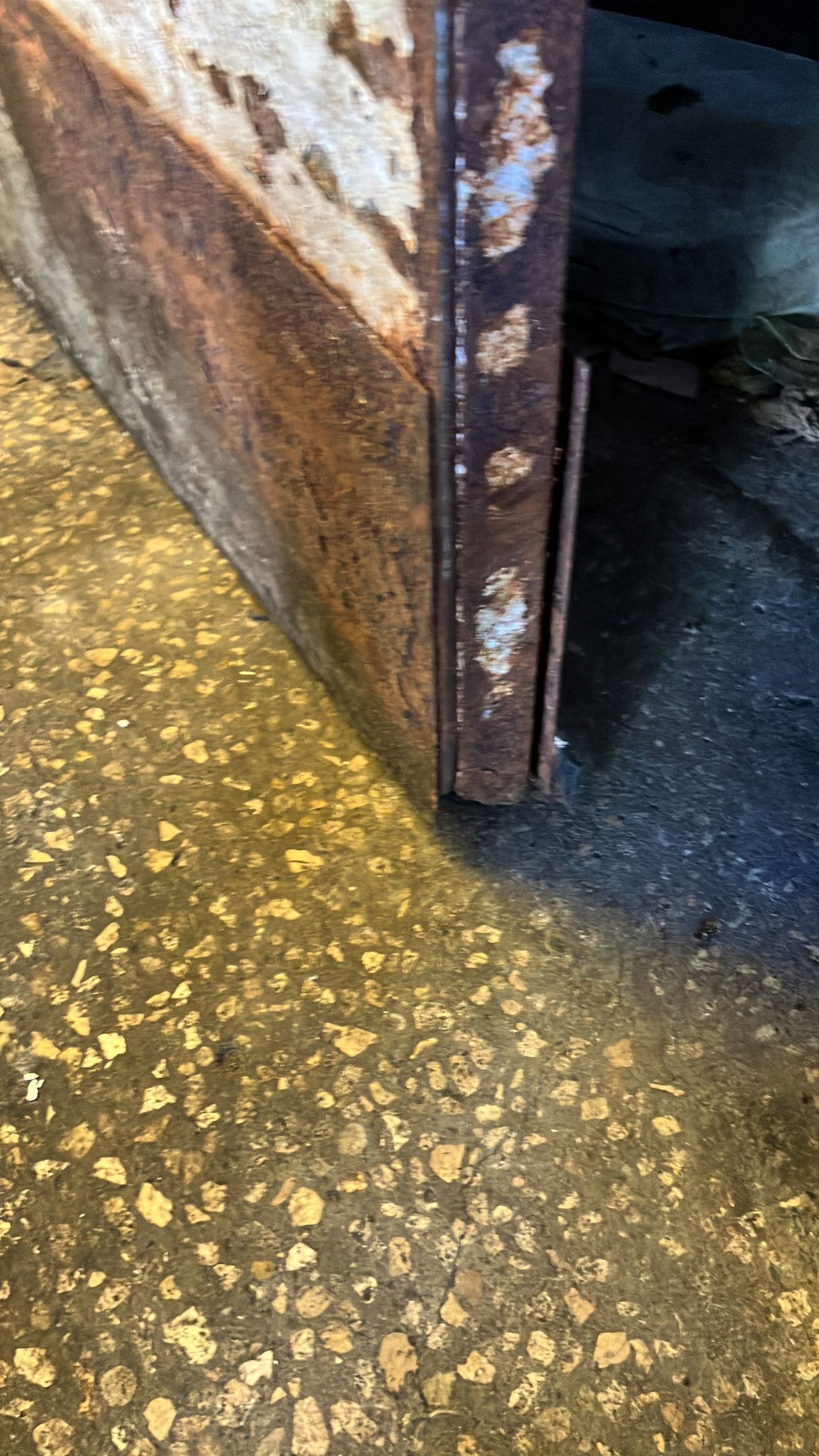 Rusty metal cabinet door opening onto a speckled floor