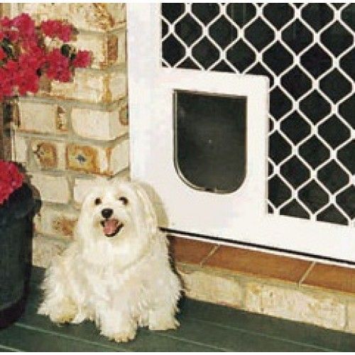 A small white dog is sitting on a porch next to a cat door.