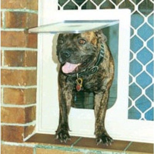 A dog is looking through a dog door on a brick wall.