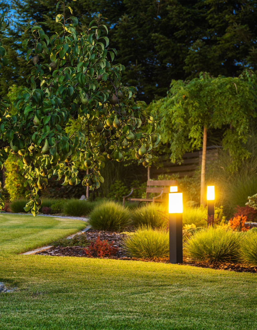 A landscaped garden at dusk with glowing path lights, green lawn, shrubs, and tall trees.
