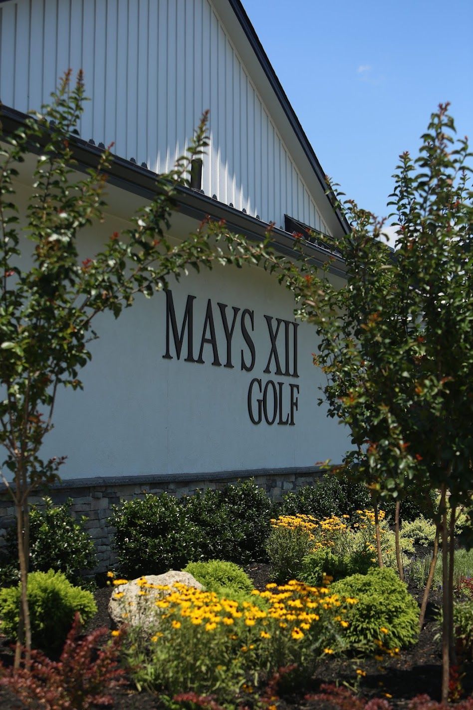 Five golf clubs lying on green grass among scattered white golf balls.