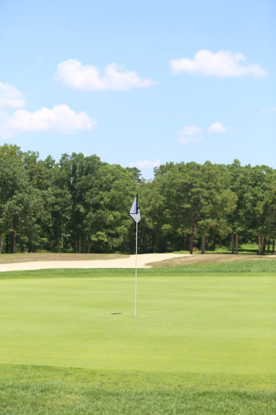 Three people work on a grassy golf course among tall pine trees on a sunny day.