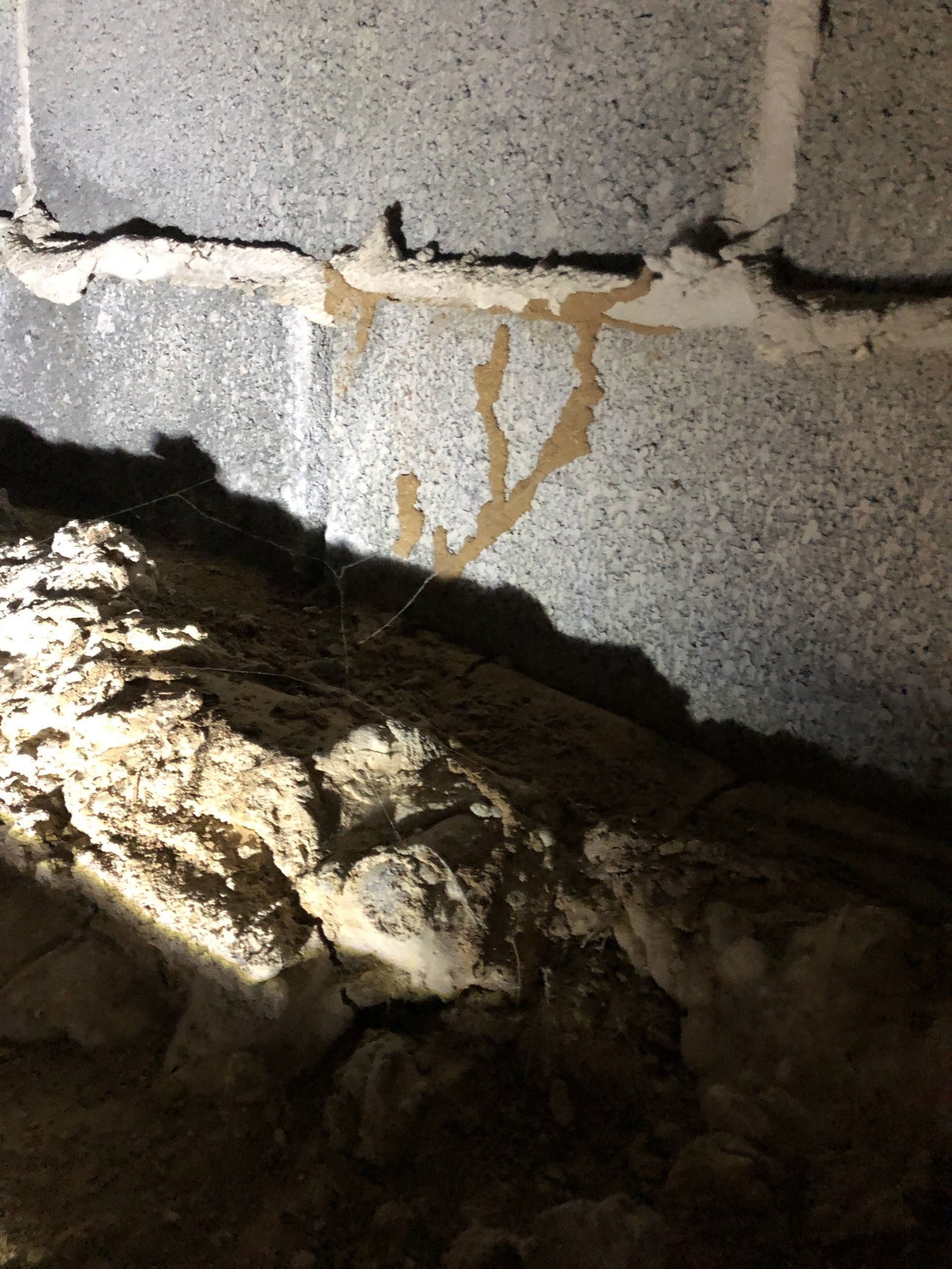 Termite Treatment in Laredo, TX