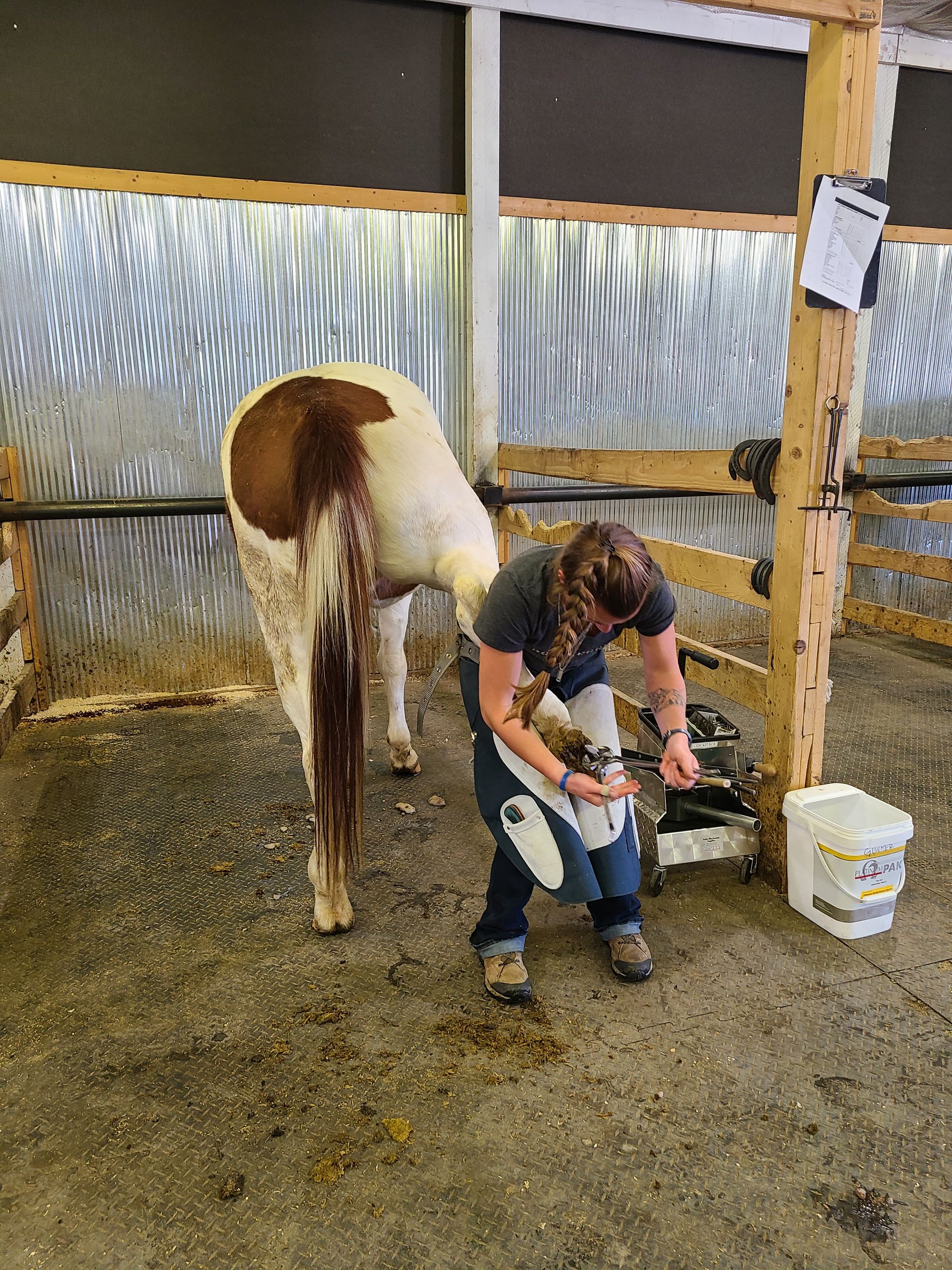 About Us Wyoming School of Horseshoeing