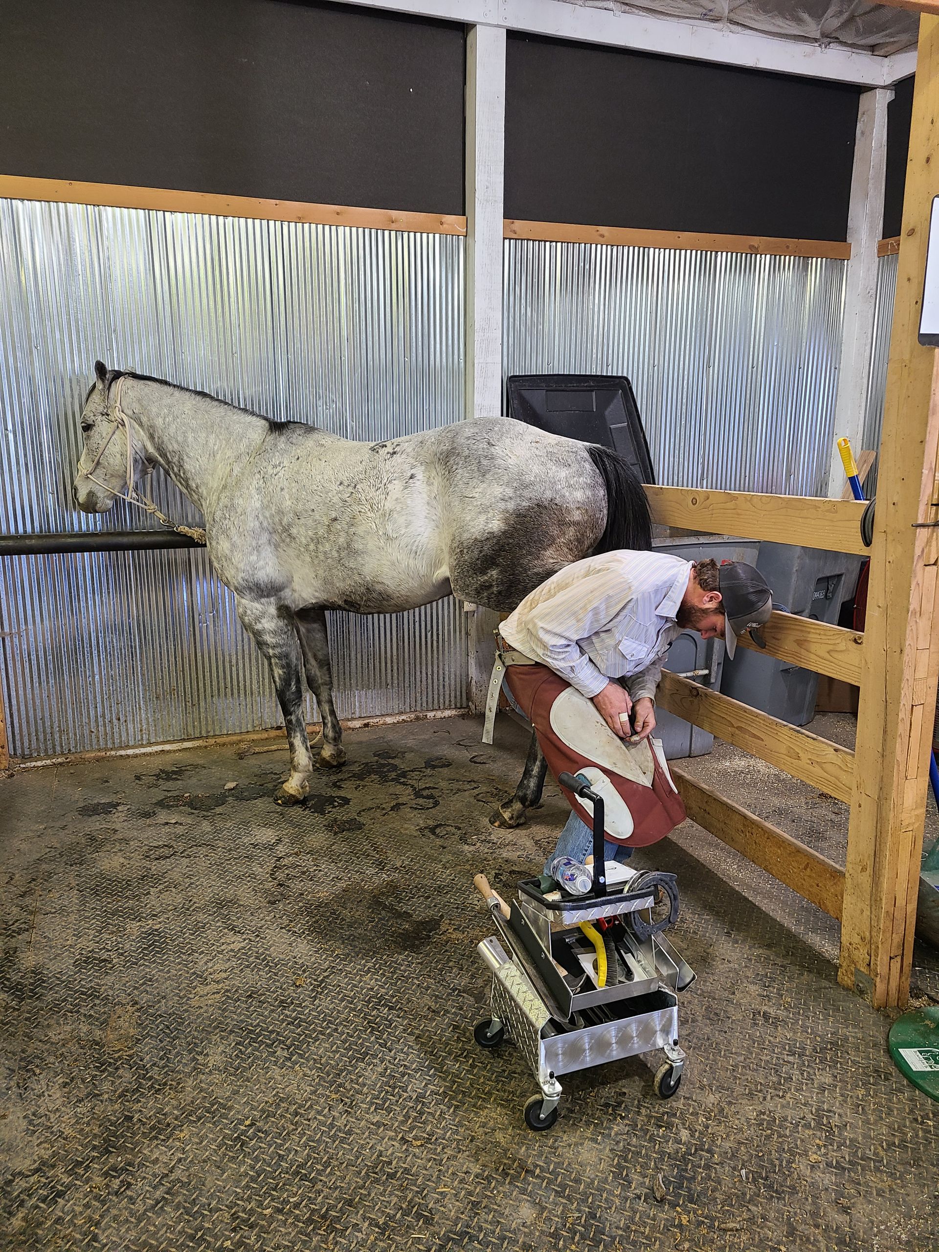 About Us Wyoming School of Horseshoeing