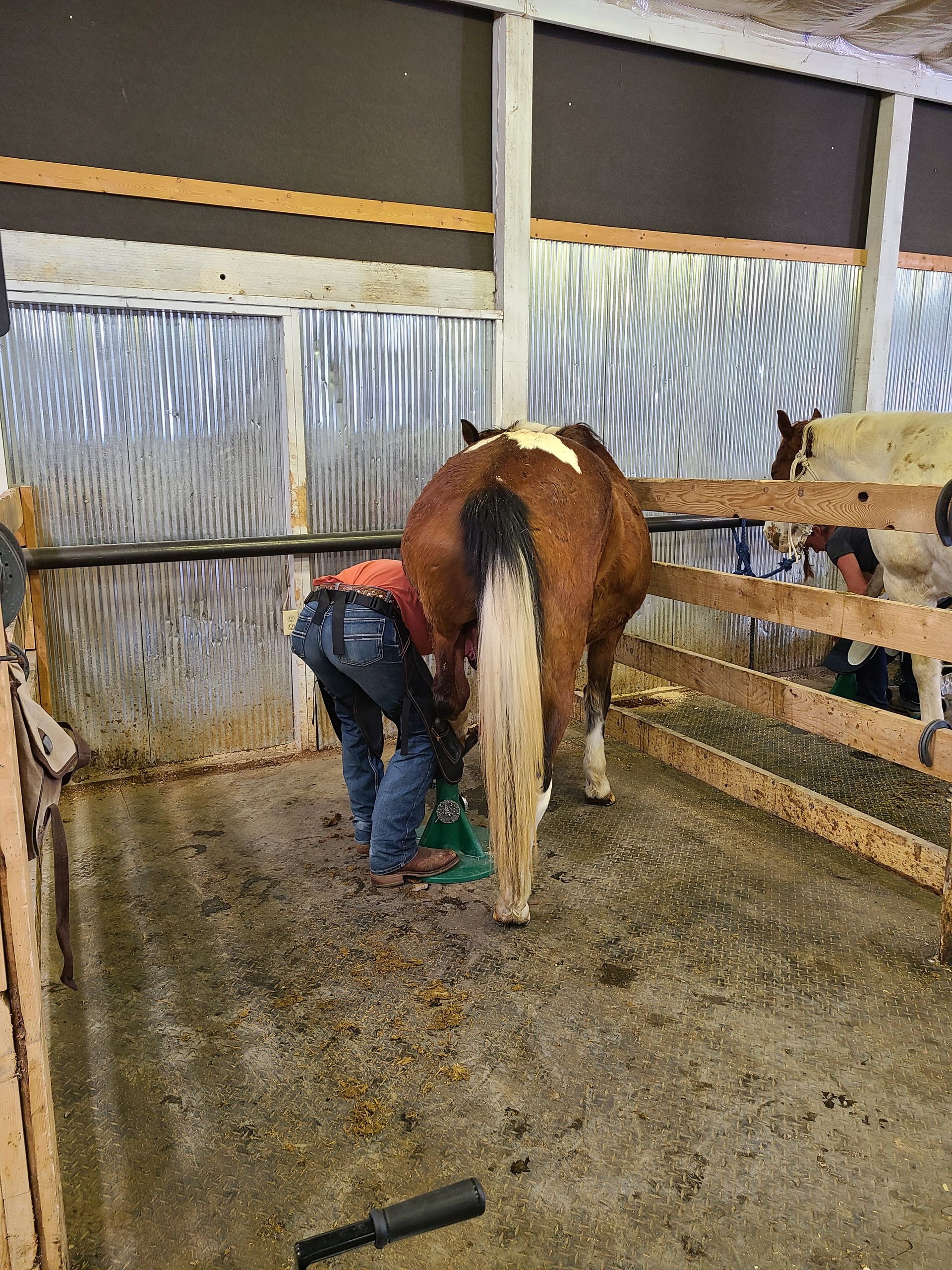 About Us Wyoming School of Horseshoeing