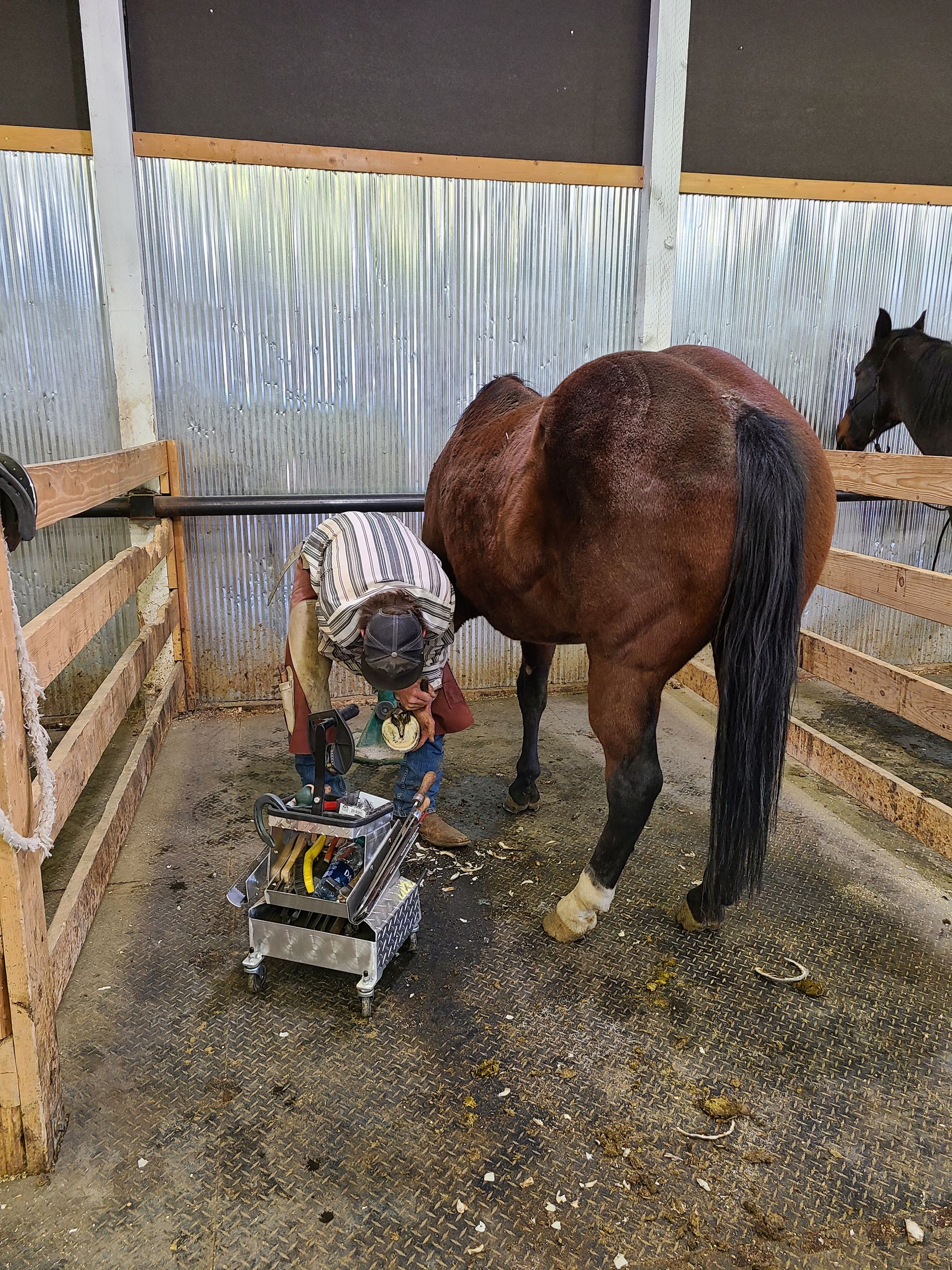 About Us Wyoming School of Horseshoeing
