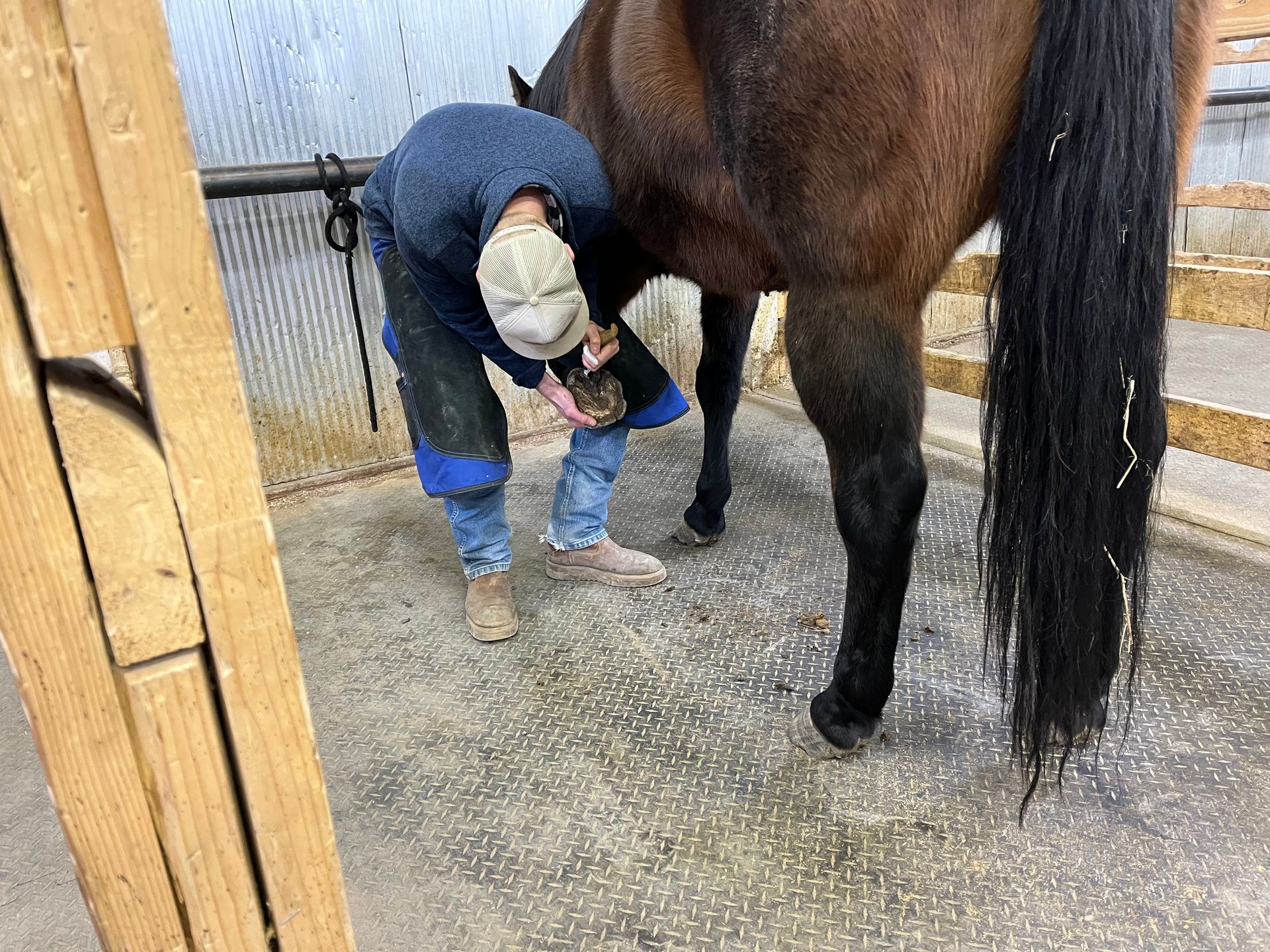 Wyoming School of Horseshoeing Learn to be a Farrier