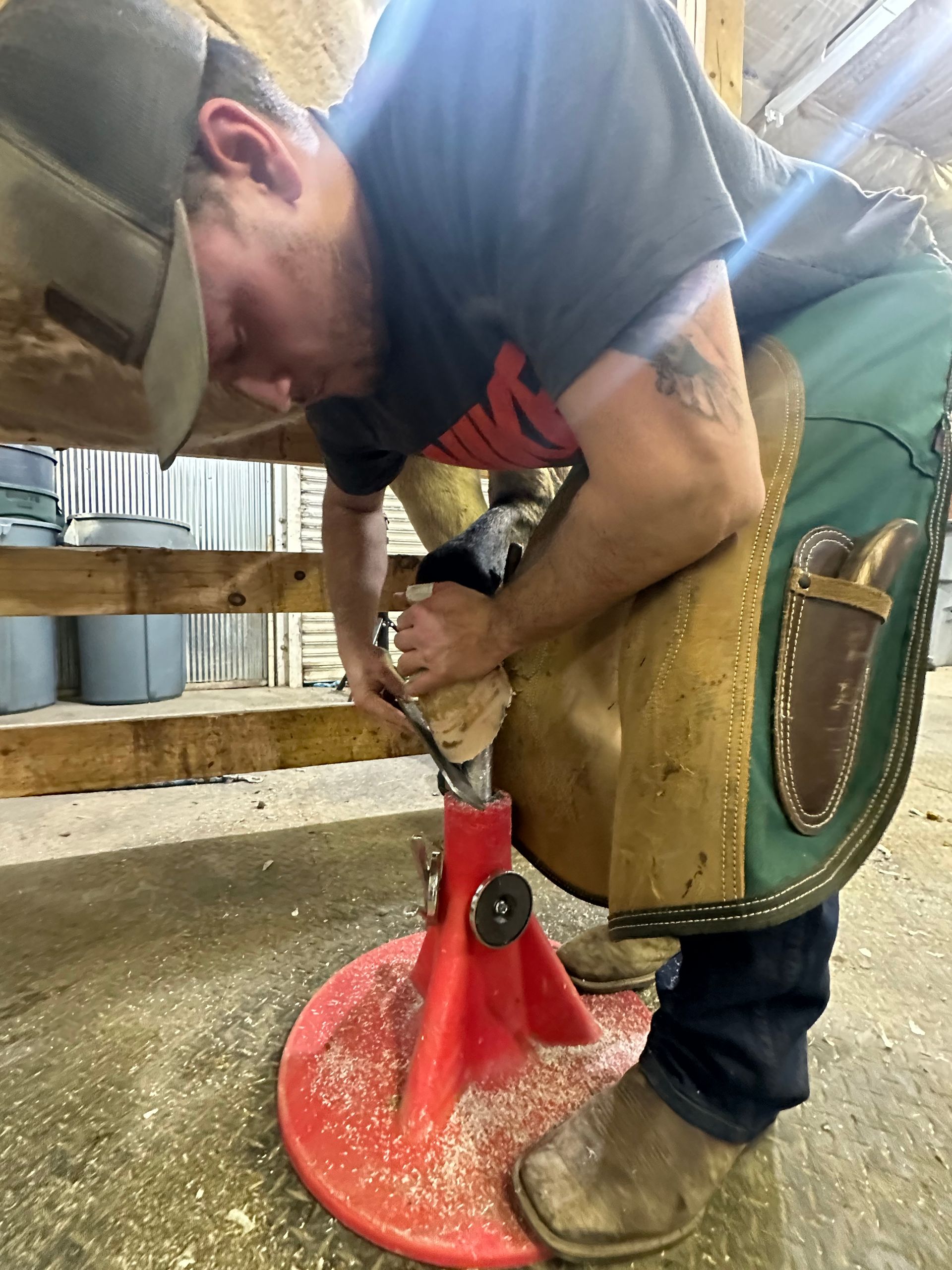 Wyoming School of Horseshoeing Top US Farrier School