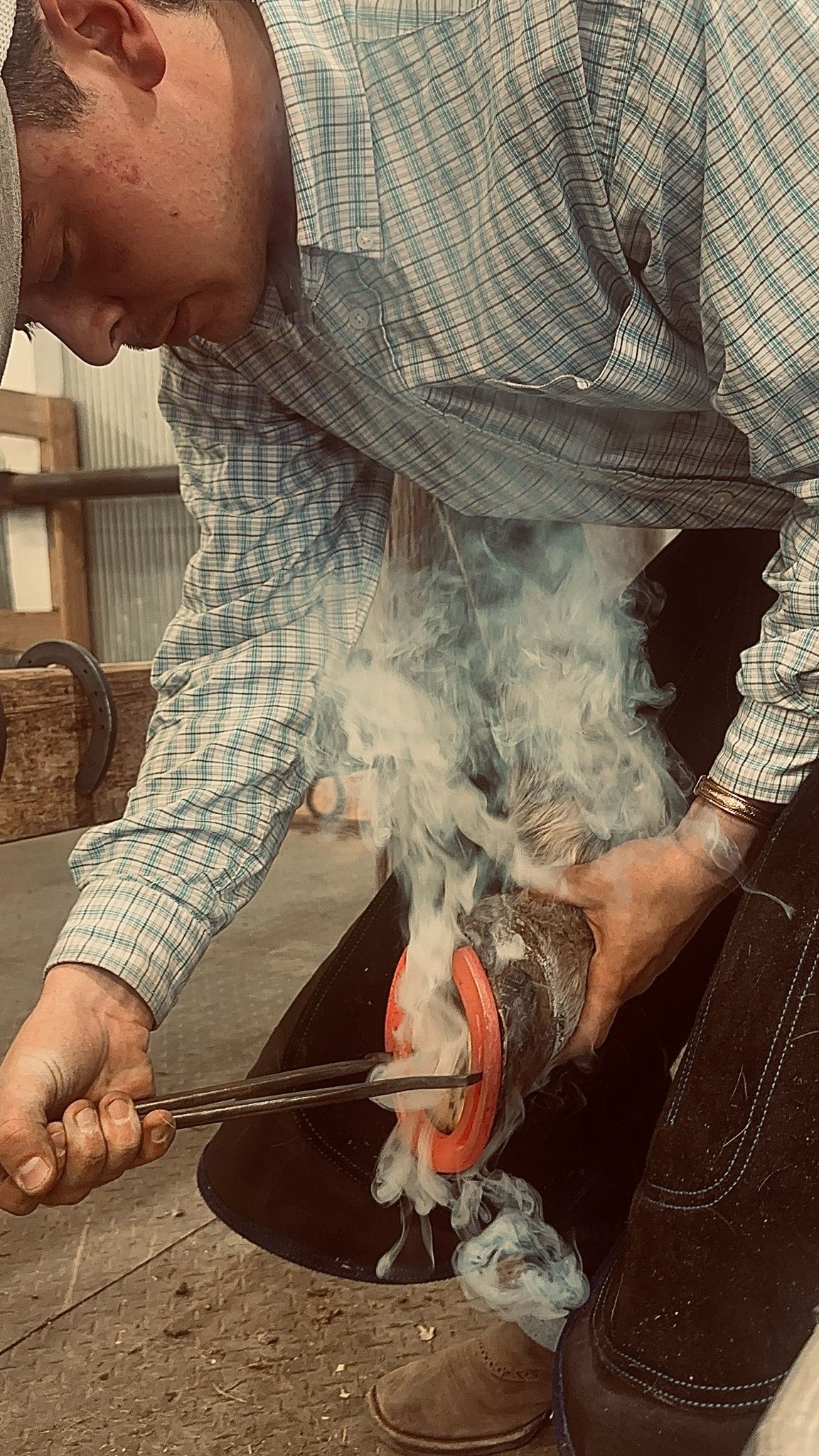 Wyoming School of Horseshoeing Learn to be a Farrier