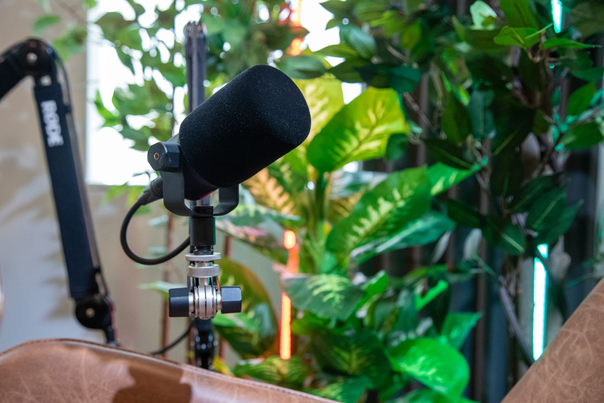 Microfoon met zwarte schuimrubberen bekleding voor groene planten en een RODE-boomarm.