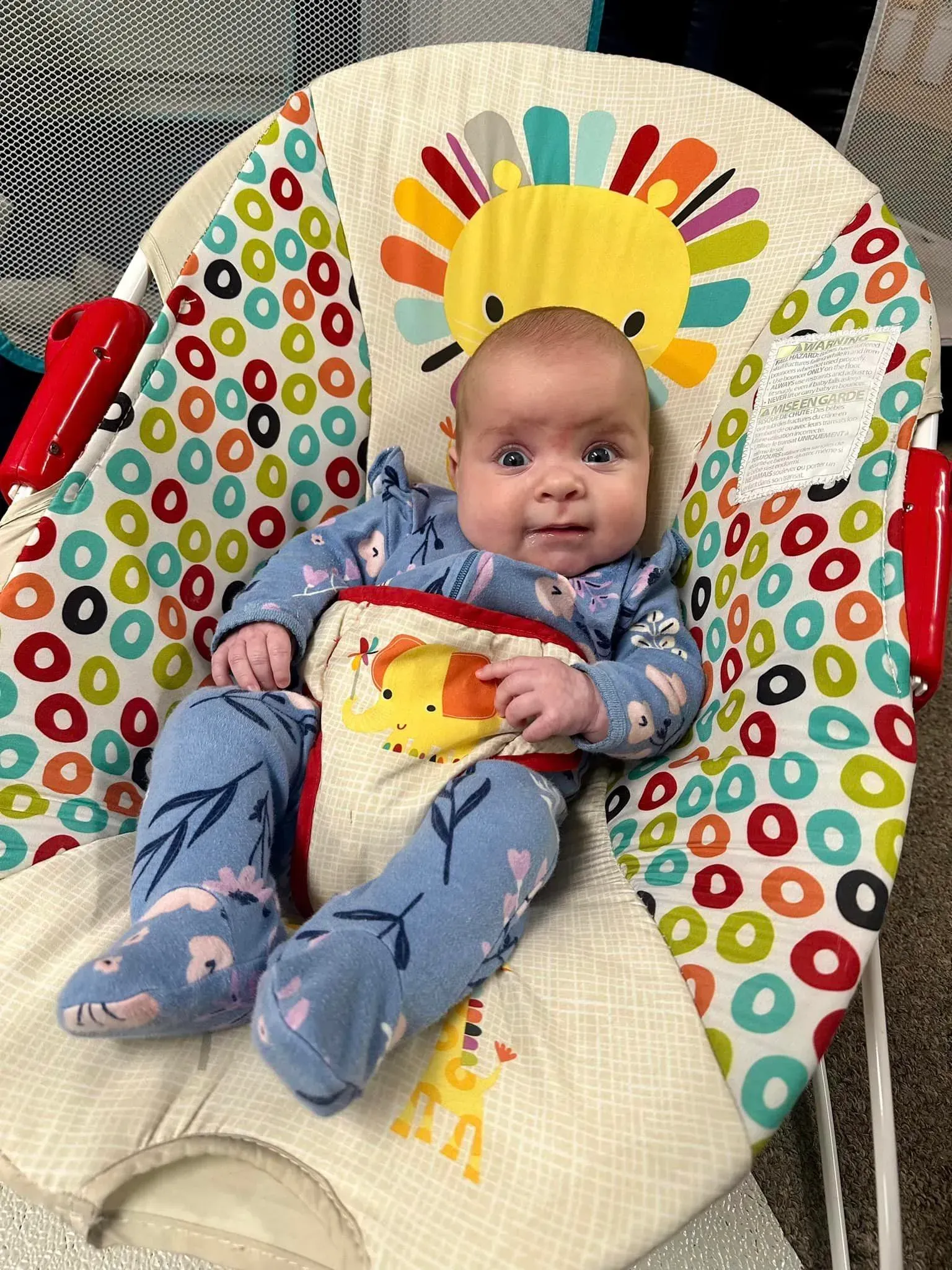 A baby is sitting in a colorful bouncer.
