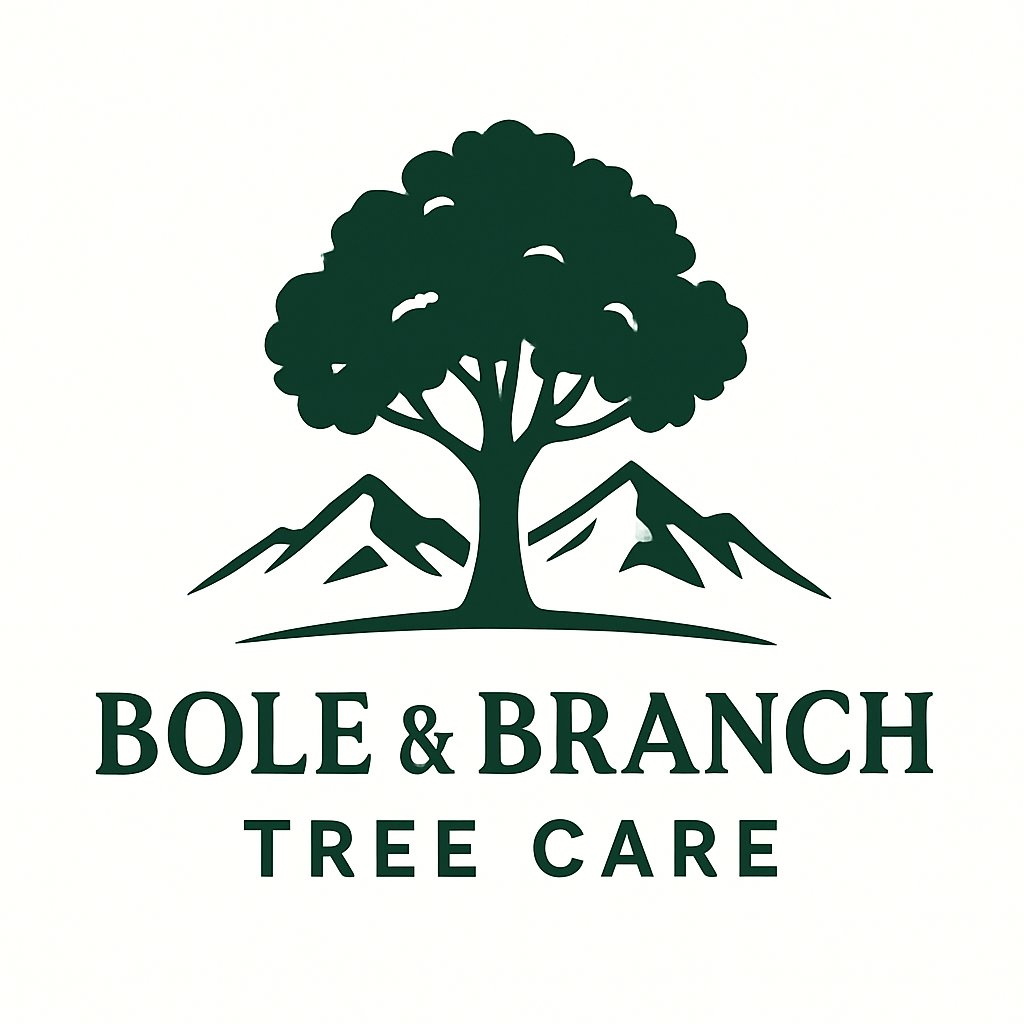 Bole & Branch Tree Care logo3