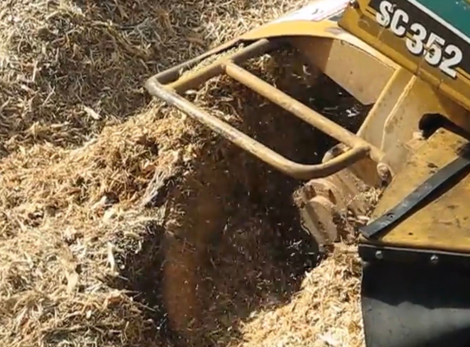 Stump Grinding in Erie, CO