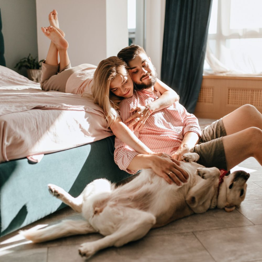Couple relaxing on a bed while petting a dog in a sunlit room