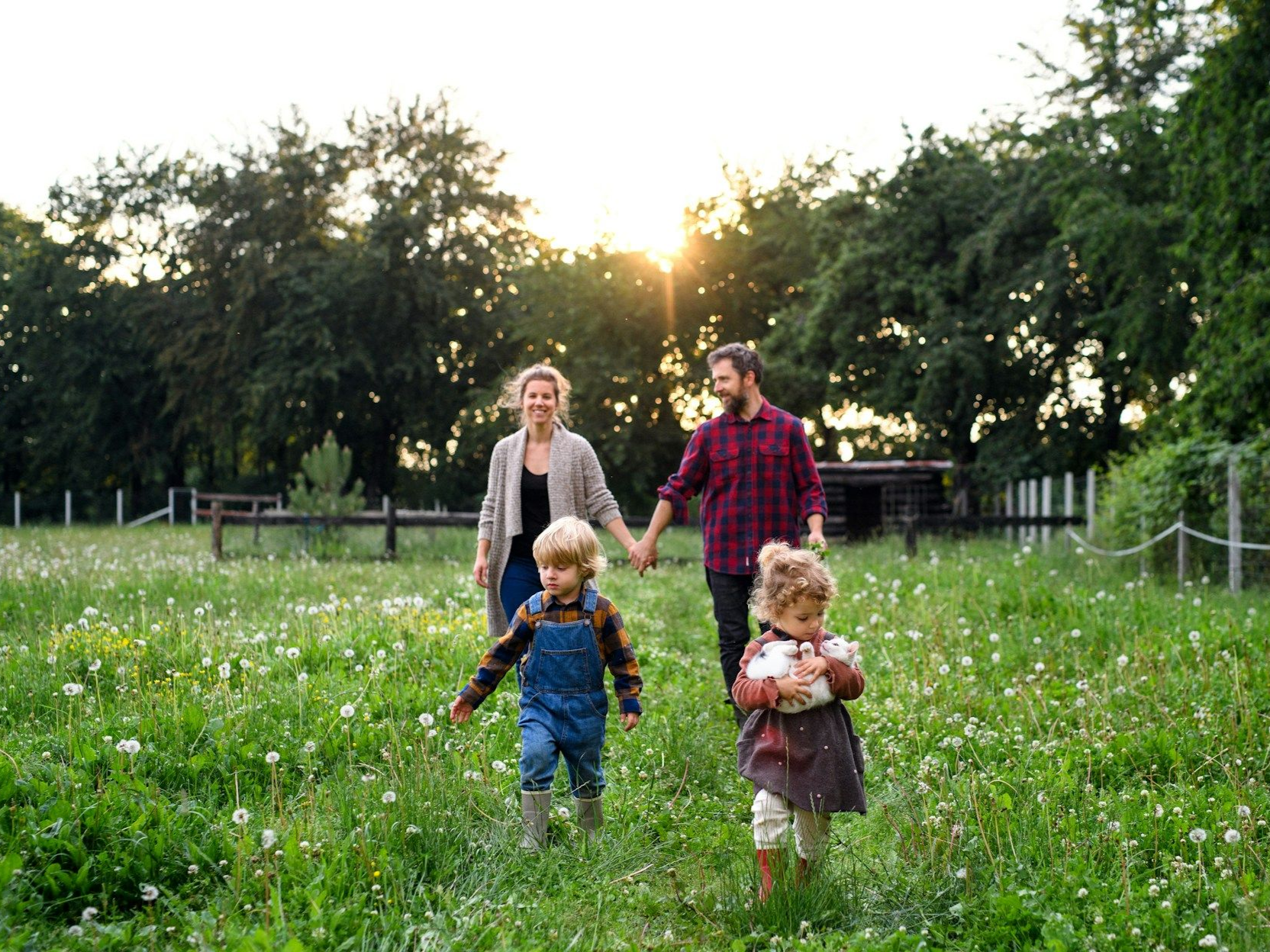Two adults and two children walking hand-in-hand through a grassy field at sunset.