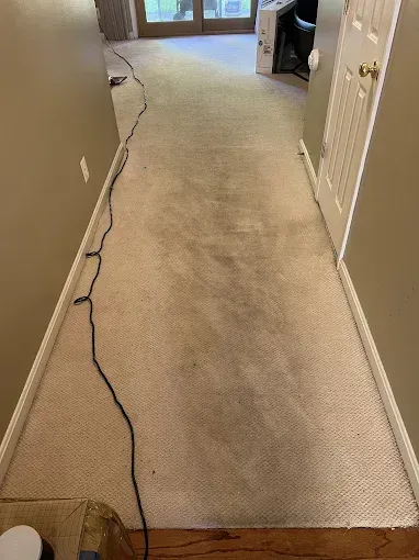 Hallway with light beige carpet; power cord runs along one side. Beige walls, closed door, and double doors are visible.