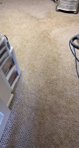 Beige carpet with dark stains and a vacuum cleaner. White storage unit.