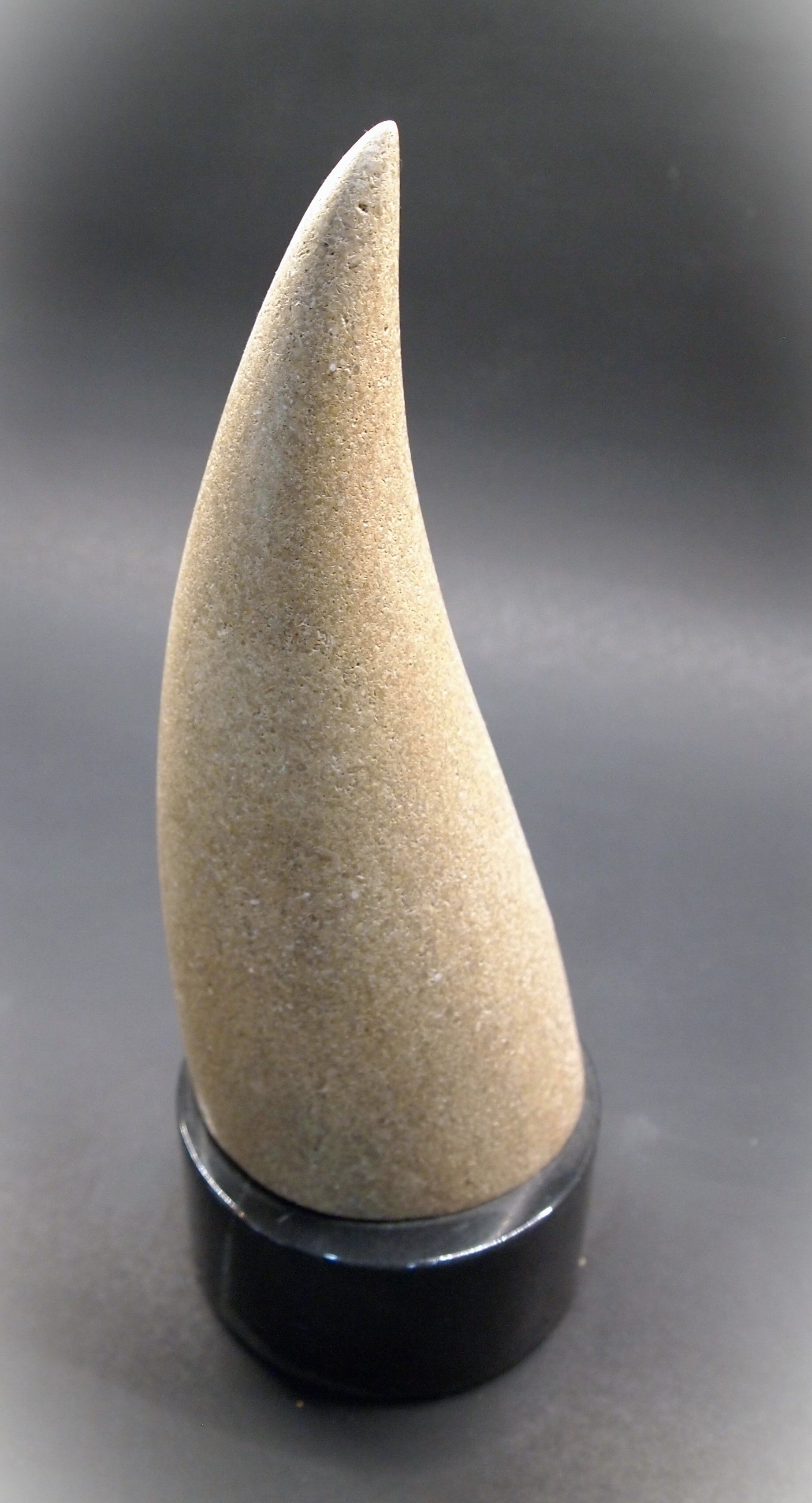 HORN MAQUETTE