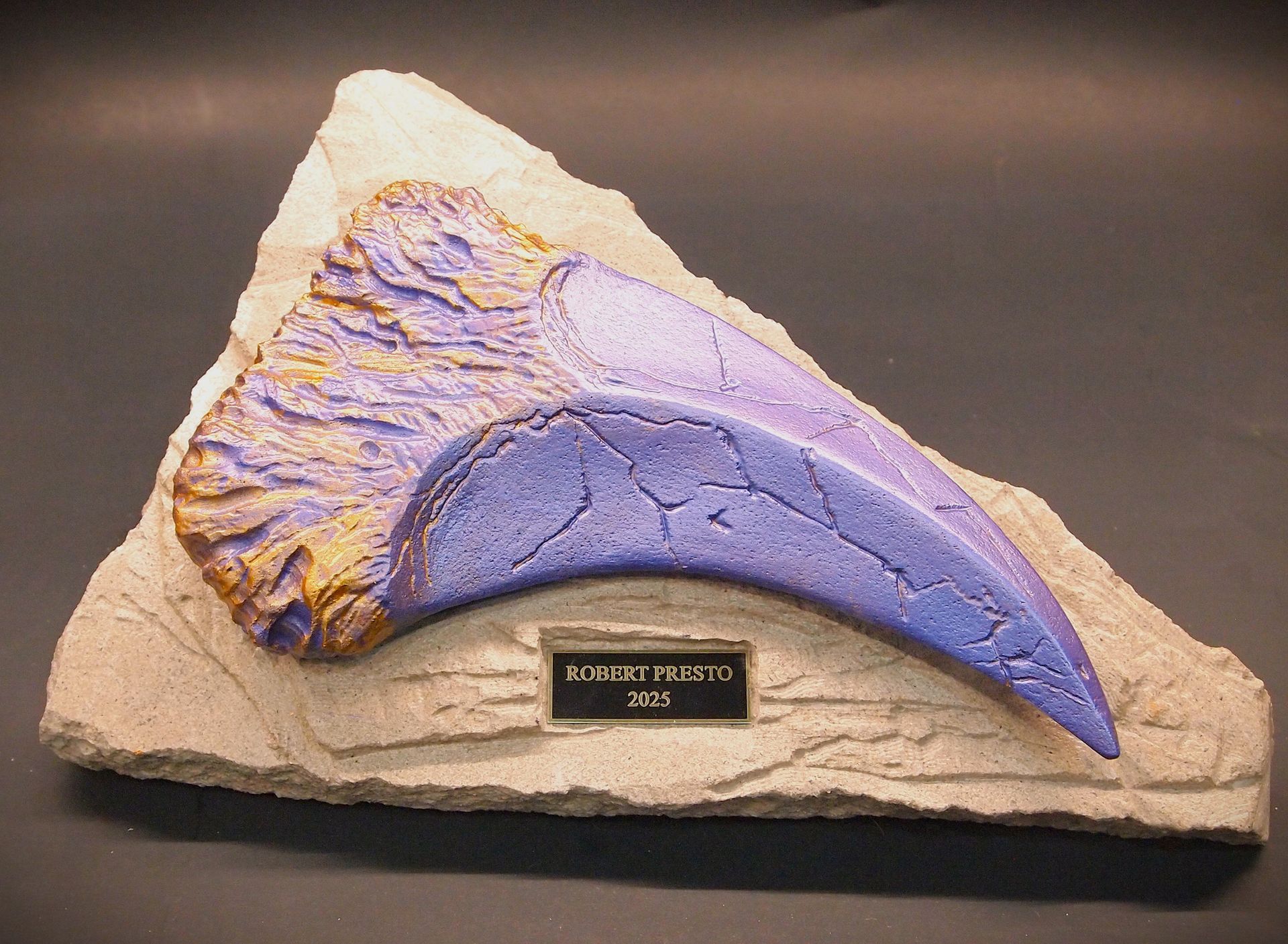 A fossil of a dinosaur claw on a rock