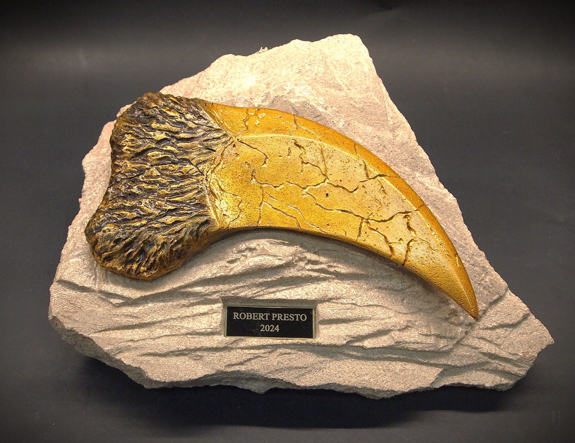 A fossil of a dinosaur claw on a rock