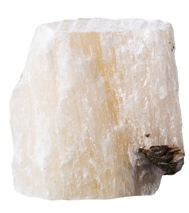 A close up of a piece of rock on a white background.