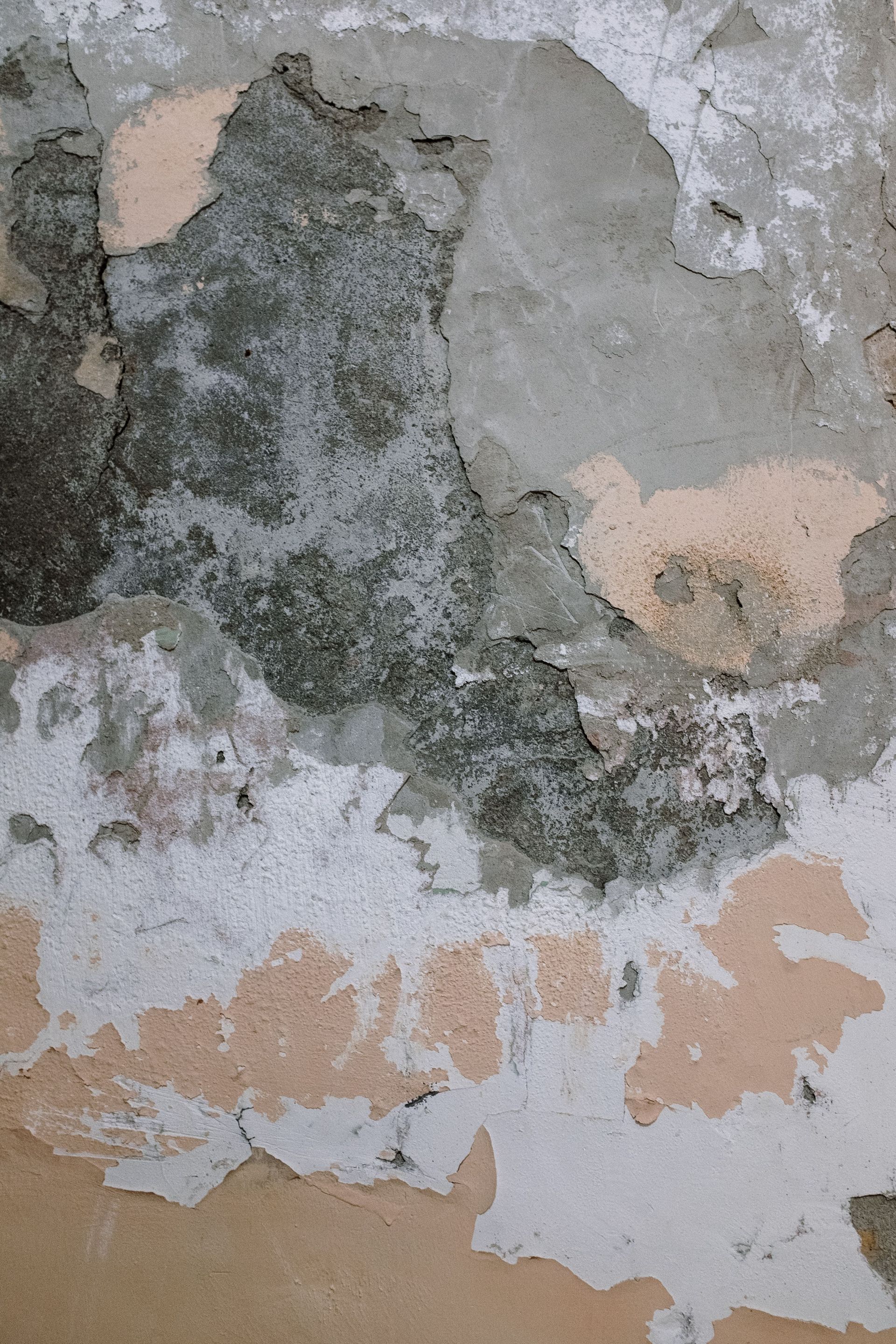 Voorbeeld van Doorslaand vocht in een muur