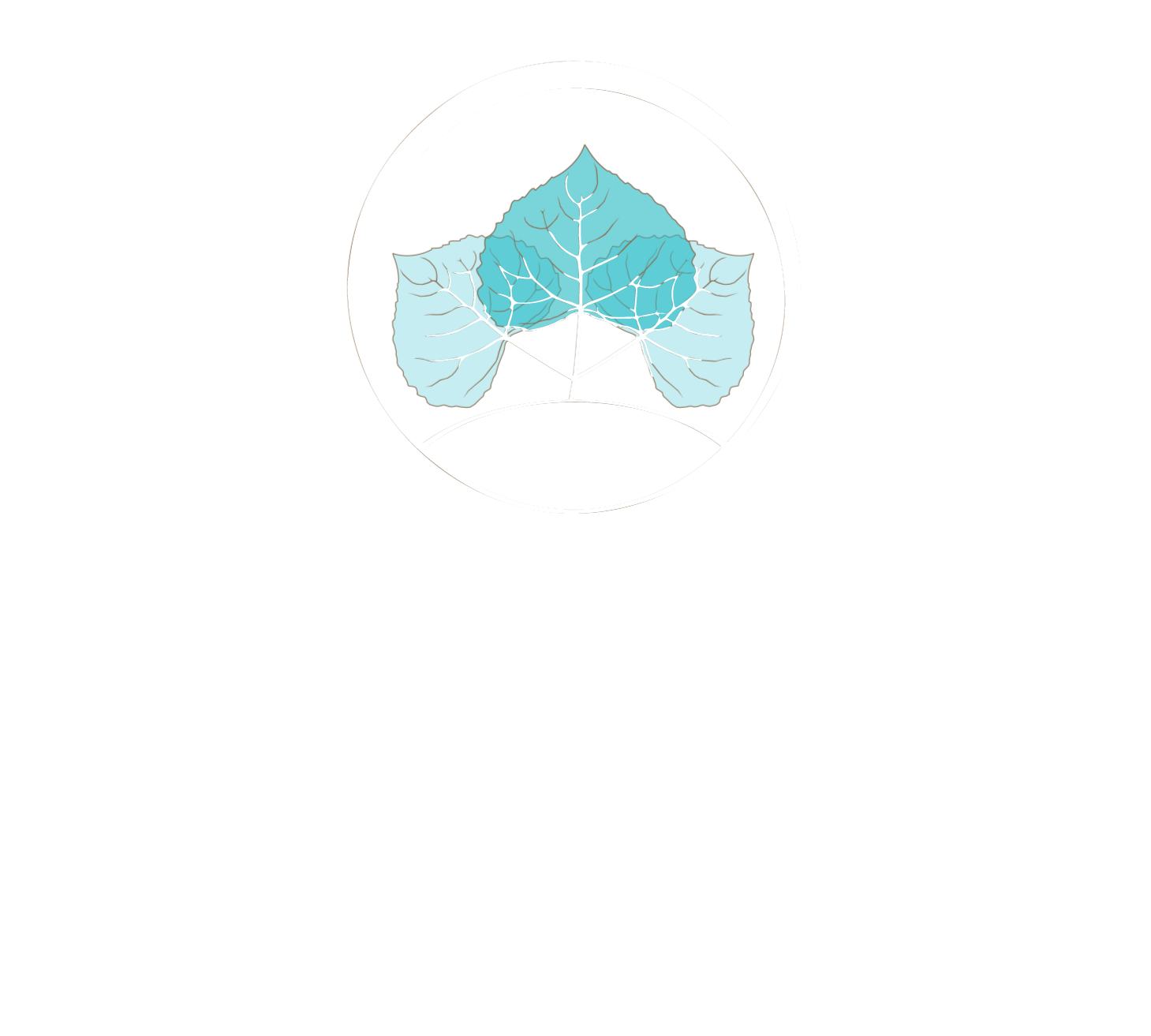 Aspen Hotel Kaleiçi, Antalya, Expandable Logo Aspen Hotel Kaleiçi, Antalya, Expandable Logo
