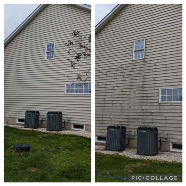 Roof Cleaning