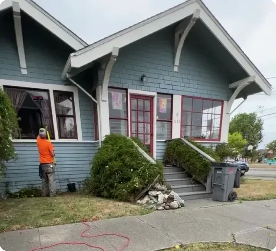 Person washing windows of a blue house with red trim. Green bushes surround the steps leading to the red door.