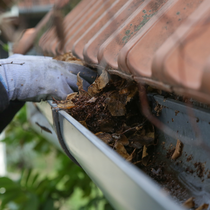 Hand in a glove clearing leaves from a gutter.