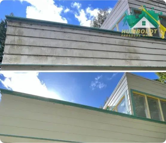 Before and after shots of house siding being pressure washed; removing green mold.