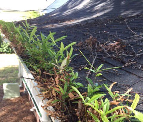 House Rain Gutter Clogged With Leaves — Concord, NC — B.W. Larrimore Construction House Rain Gutter Clogged With Leaves — Concord, NC — B.W. Larrimore Construction