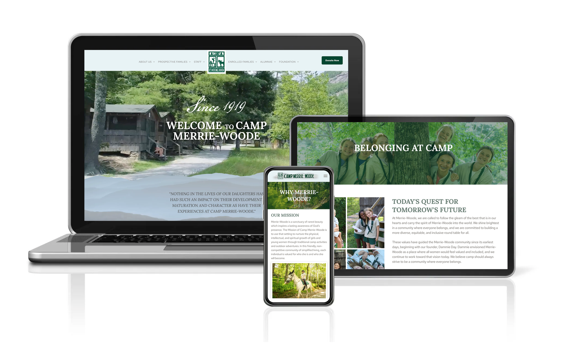 Laptop, tablet, and smartphone displaying a website on various devices.