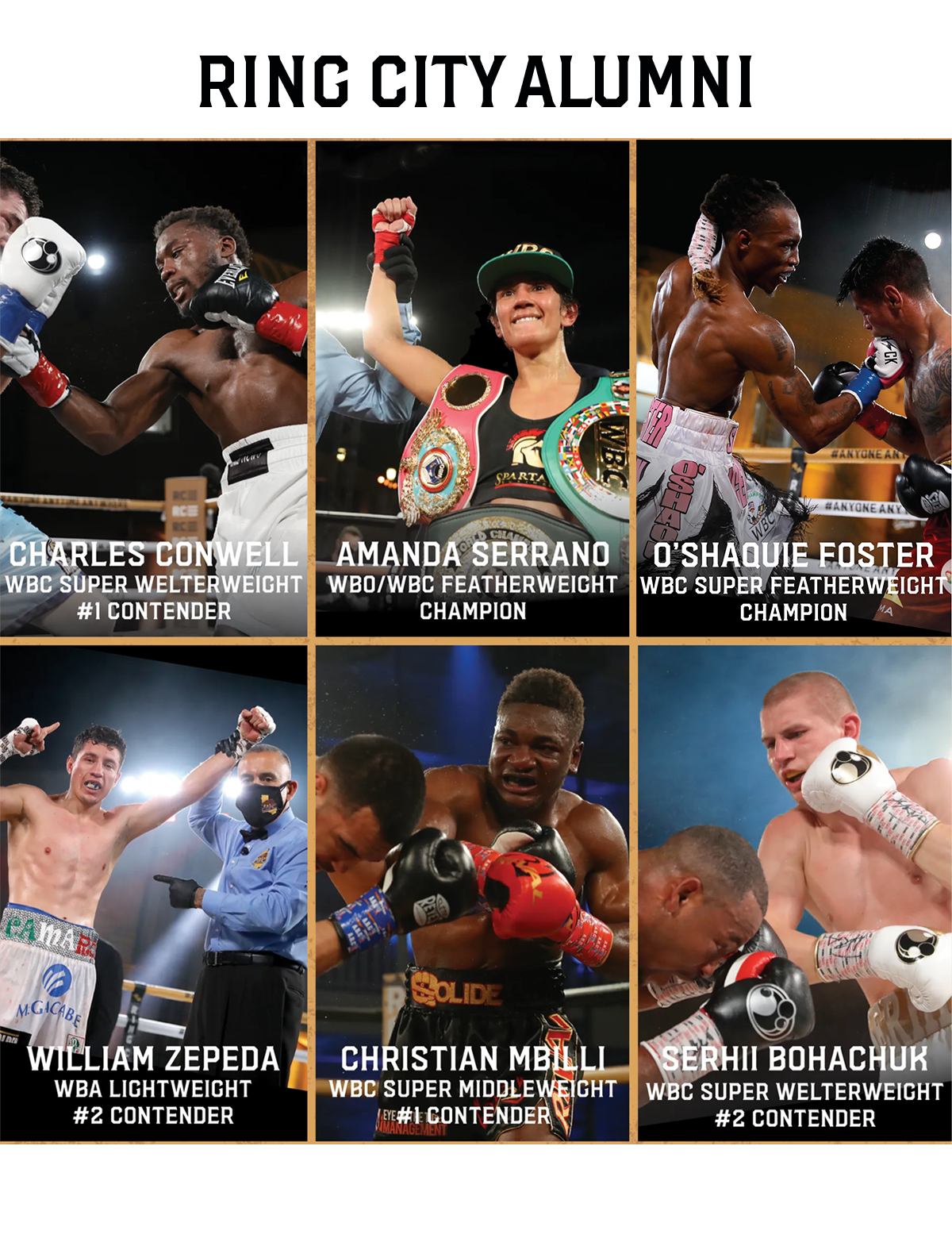 ring city alumni boxing fights