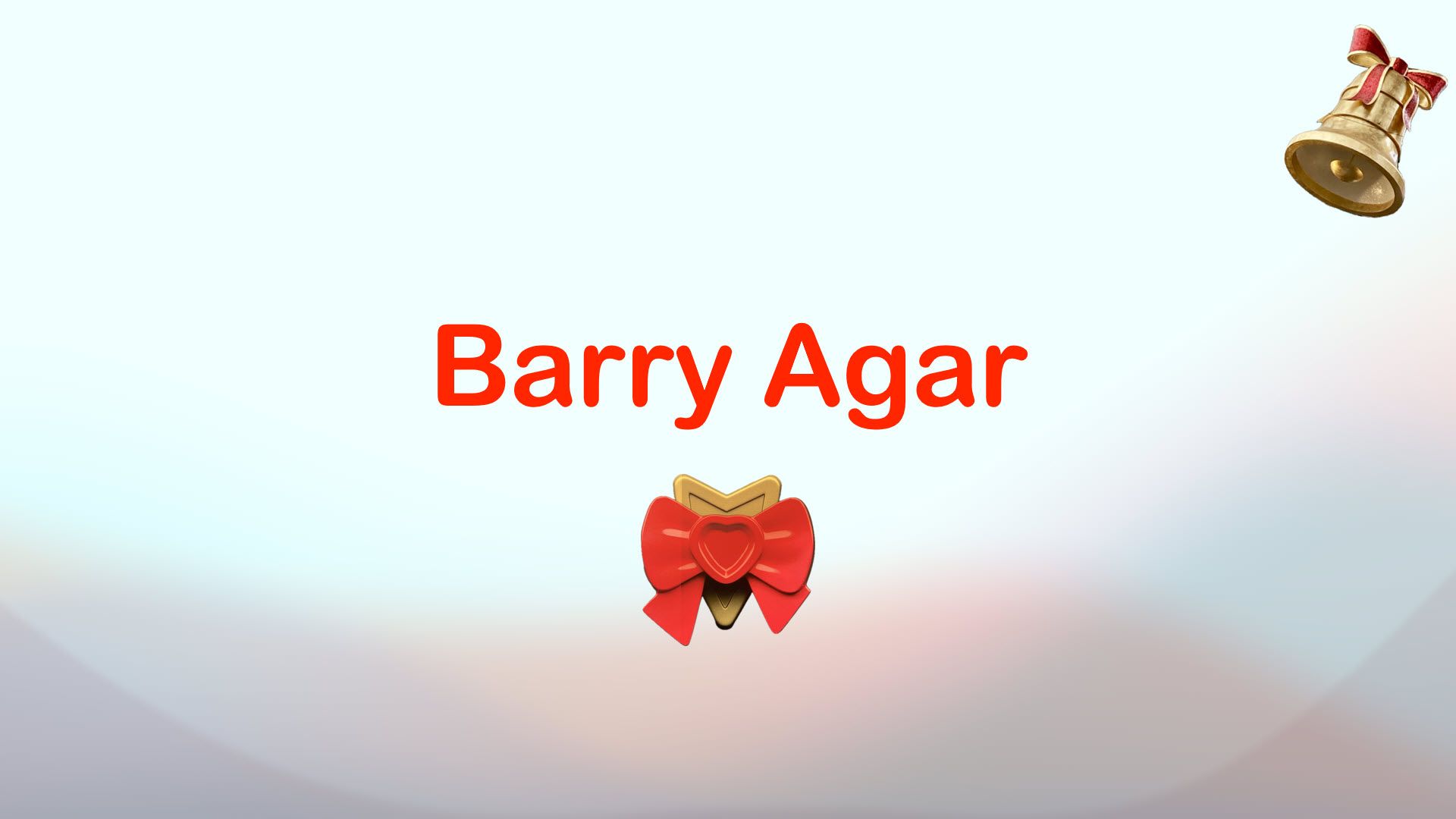 Snappers Christmas Slideshow - Barry Agar