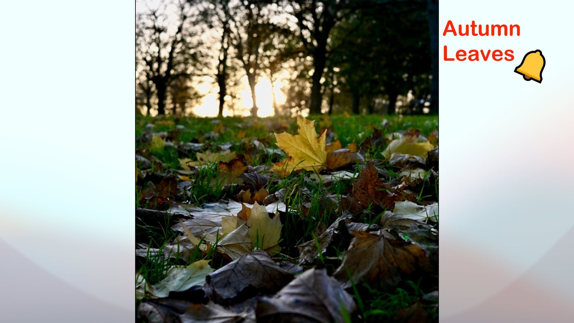 Autumn Leaves