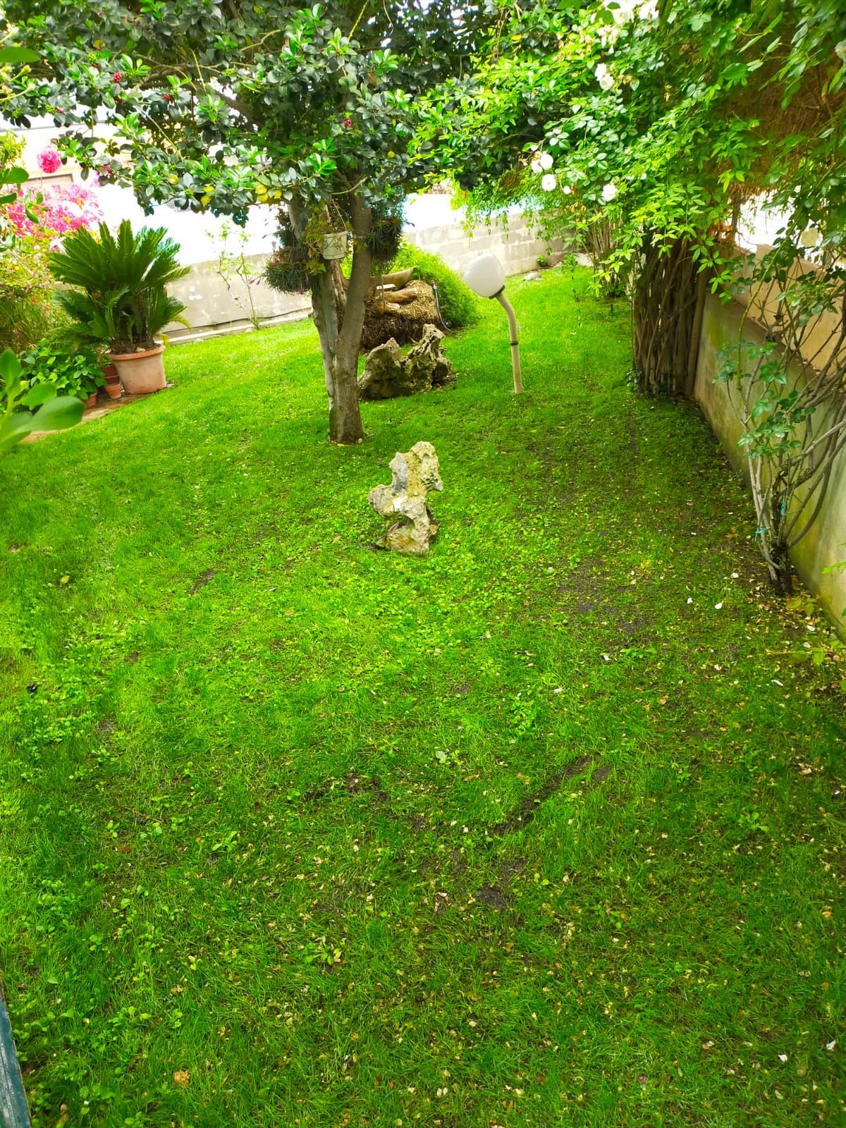 il giardino fiorito