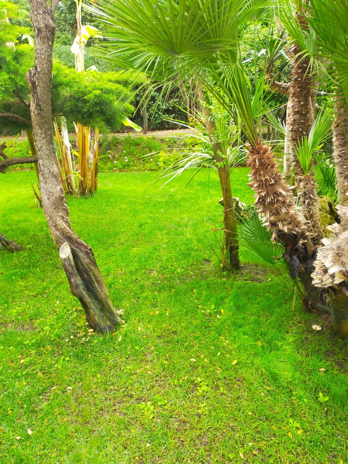 il giardino fiorito