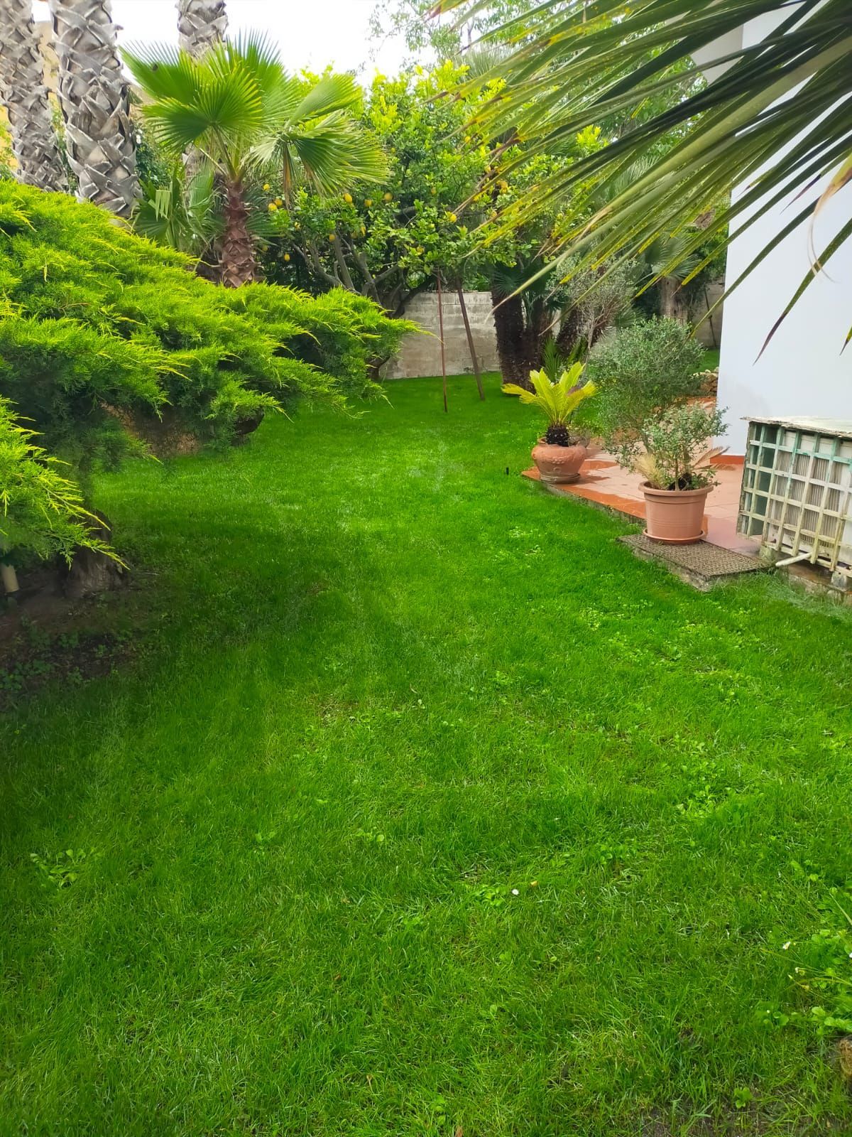 il giardino fiorito