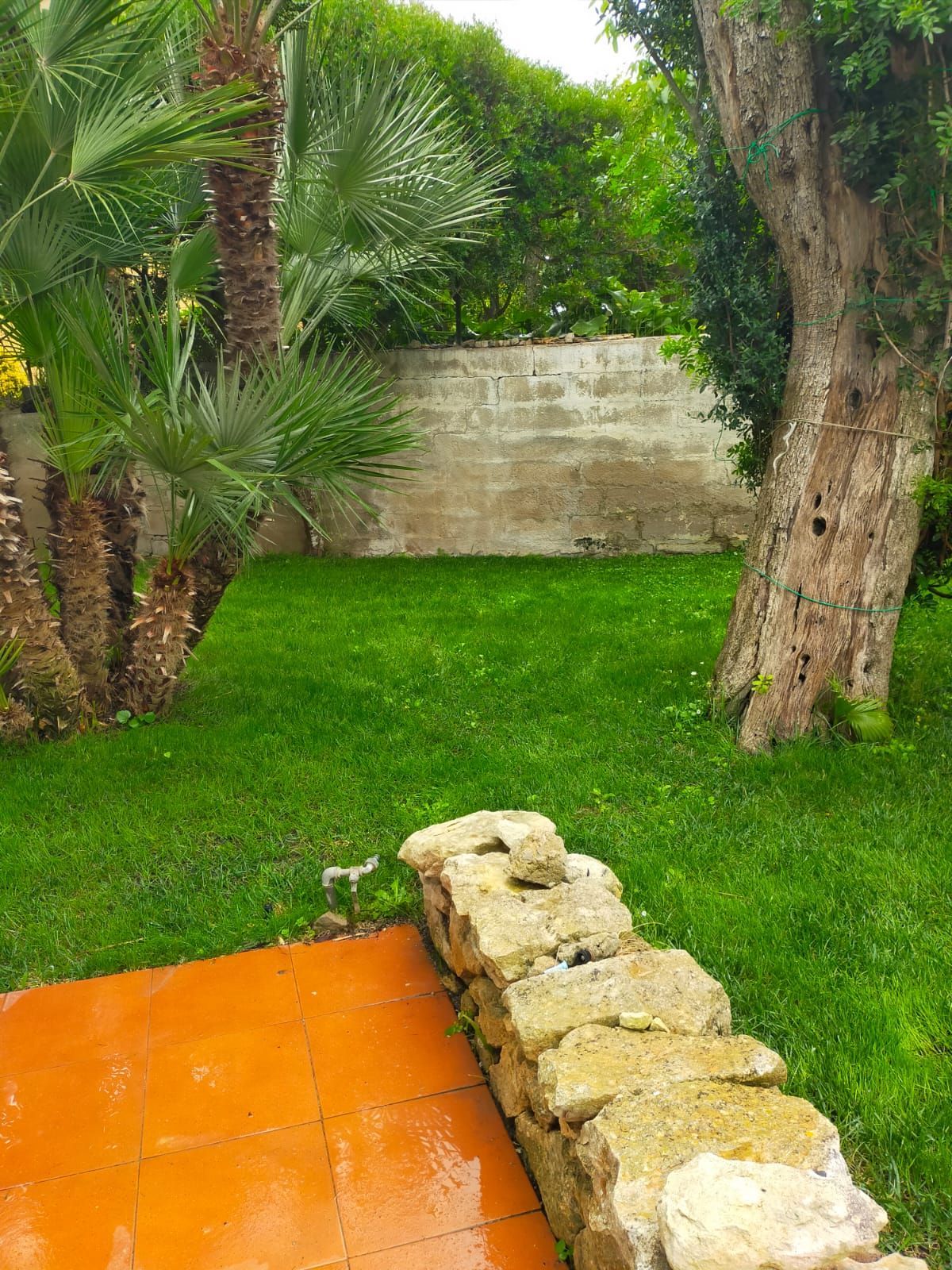 il giardino fiorito
