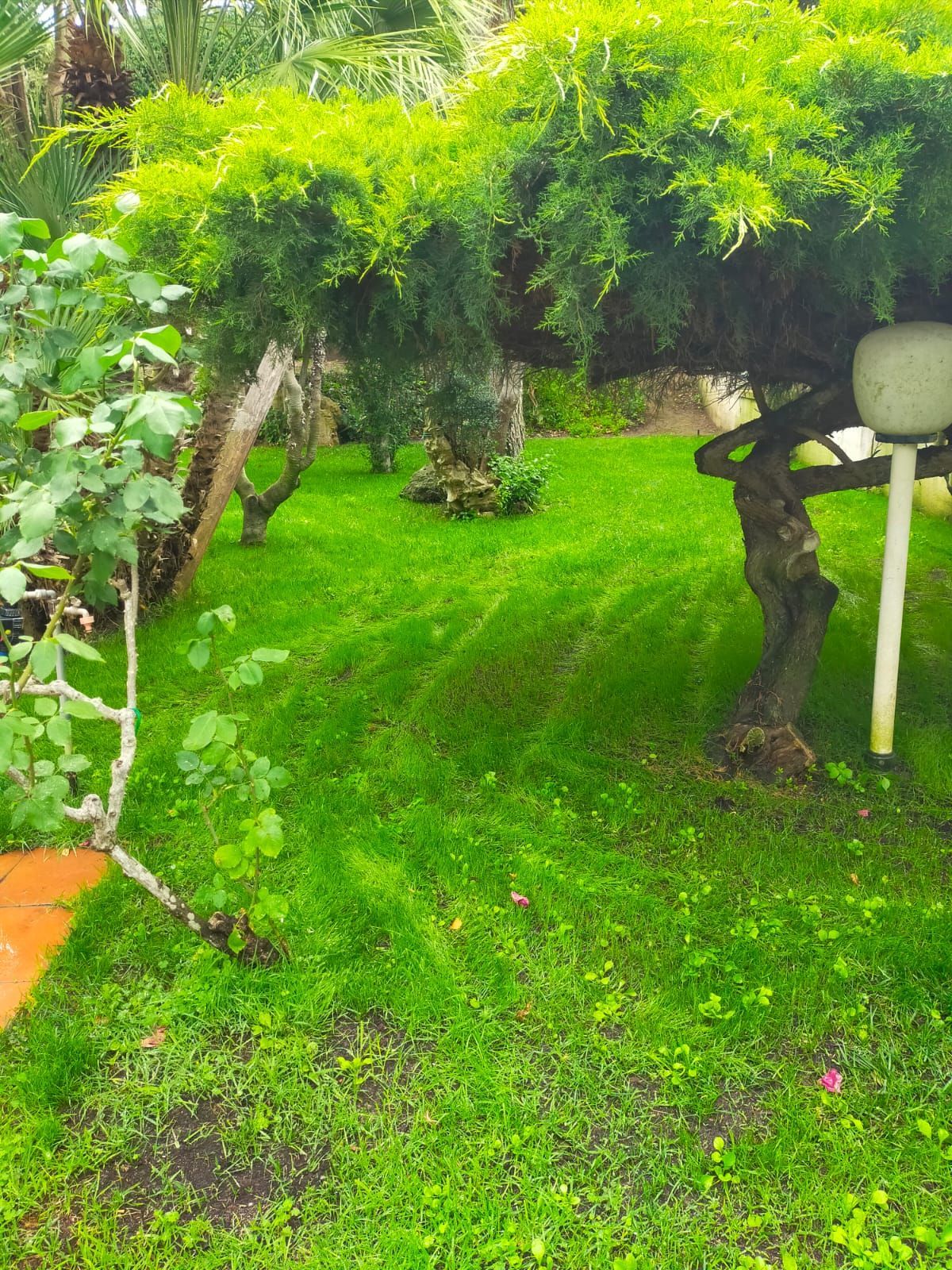 il giardino fiorito
