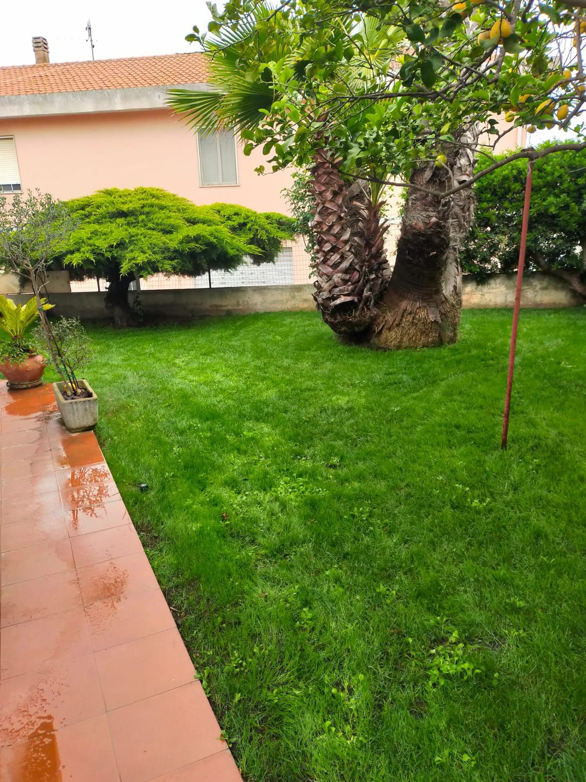 il giardino fiorito