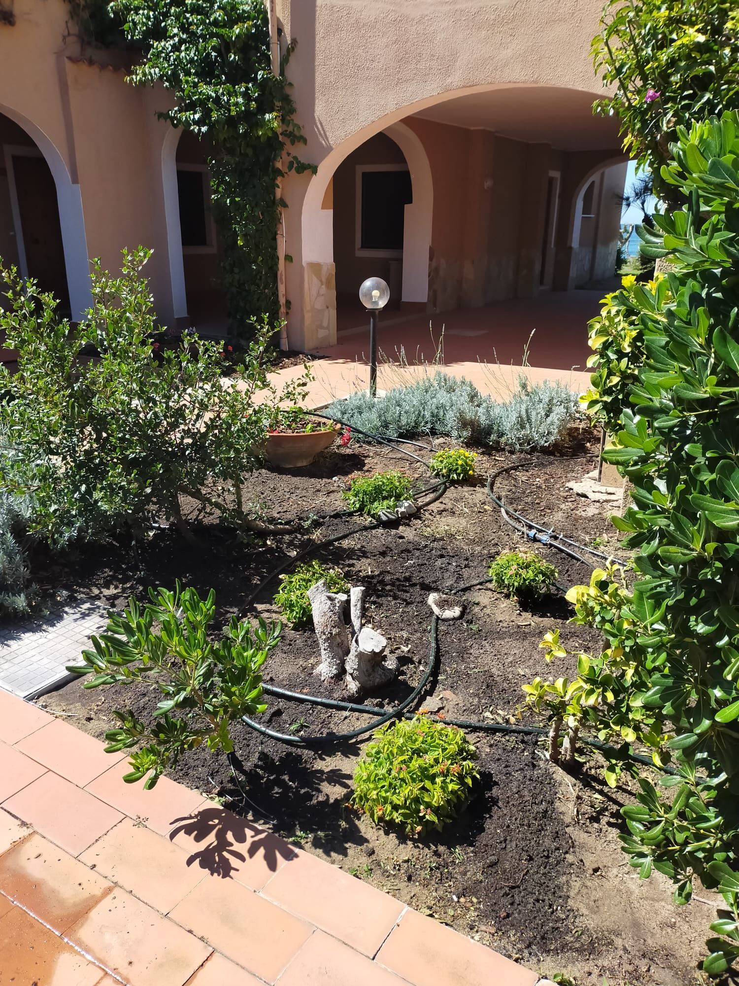 il giardino fiorito